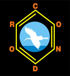 Immagine profilo di condorchemical
